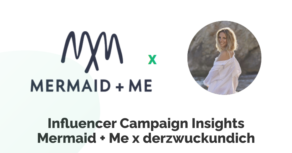 Influencer Campaign Insights